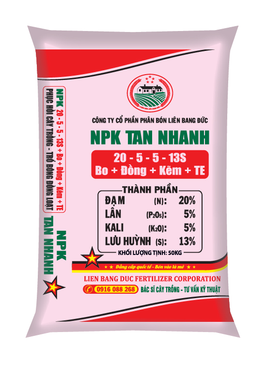 NPK 20-5-5-13S